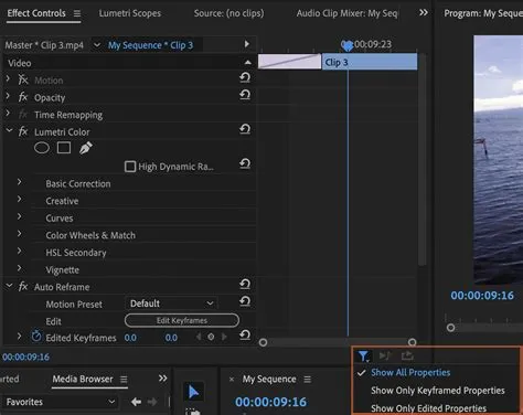 How to Add Effects in Premiere Pro